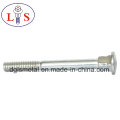 Hexagonal Hexagonal Socket Bolt Carriage Bolt